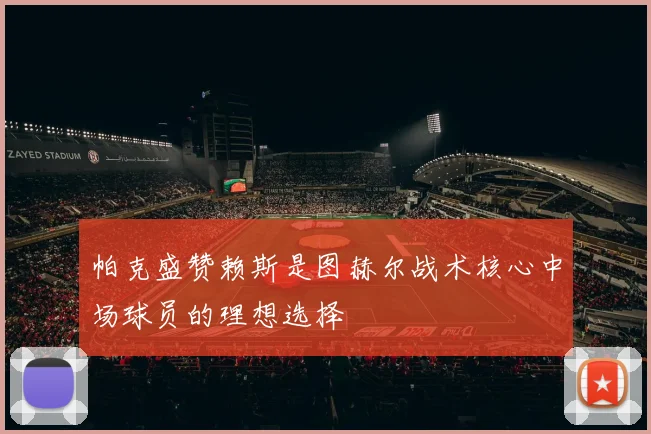 帕克盛赞赖斯是图赫尔战术核心中场球员的理想选择