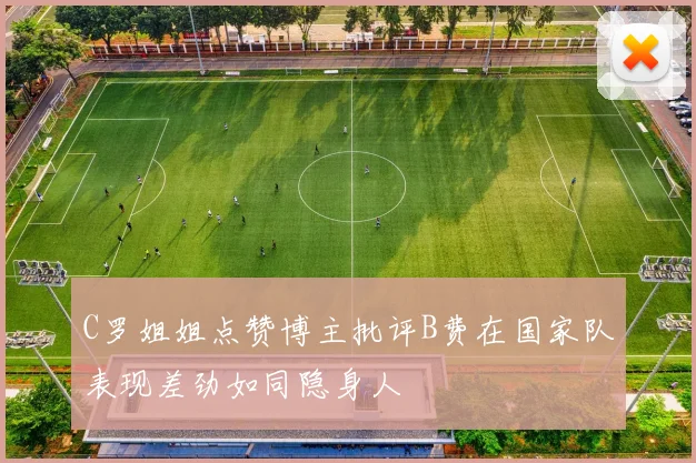 C罗姐姐点赞博主批评B费在国家队表现差劲如同隐身人