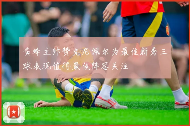 黄蜂主帅赞克尼佩尔为最佳新秀三球表现值得最佳阵容关注